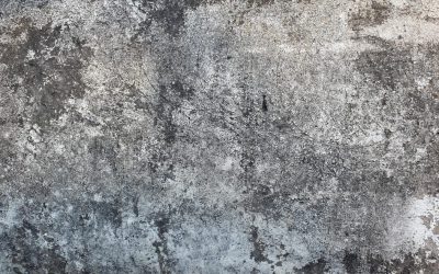 7 redenen voor betontegels in de keuken