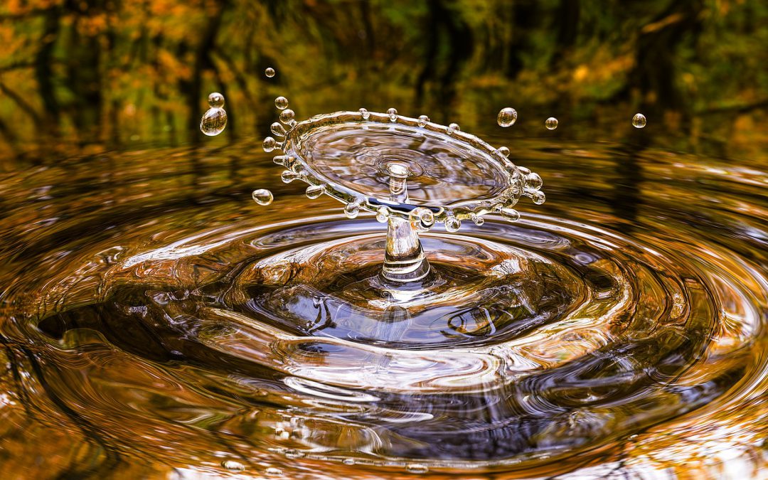 Wat is het gemak van een waterontharder?