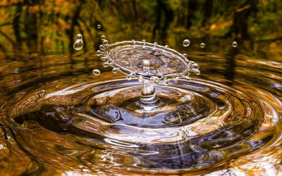 Wat is het gemak van een waterontharder?